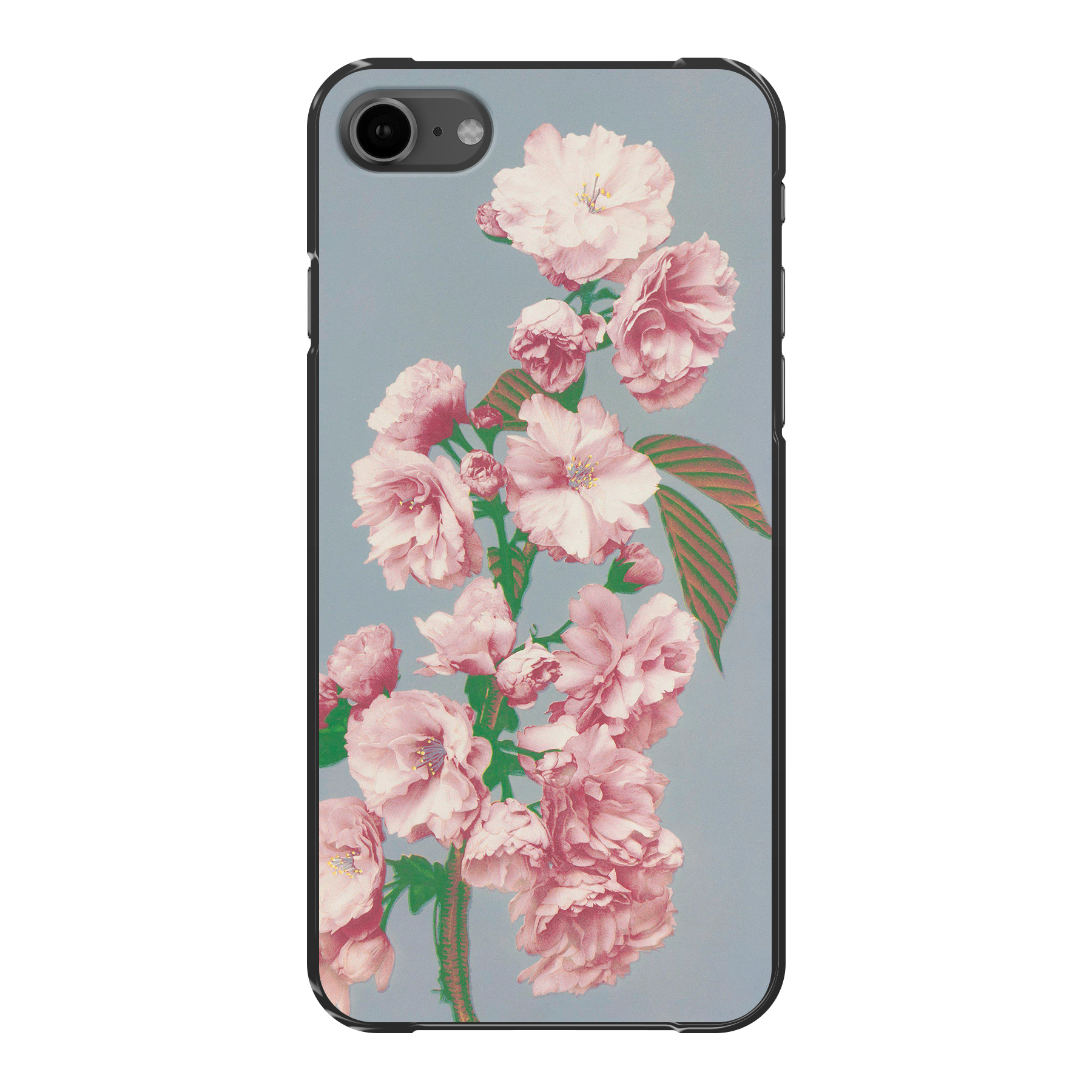 Apple iPhone SE (2020)