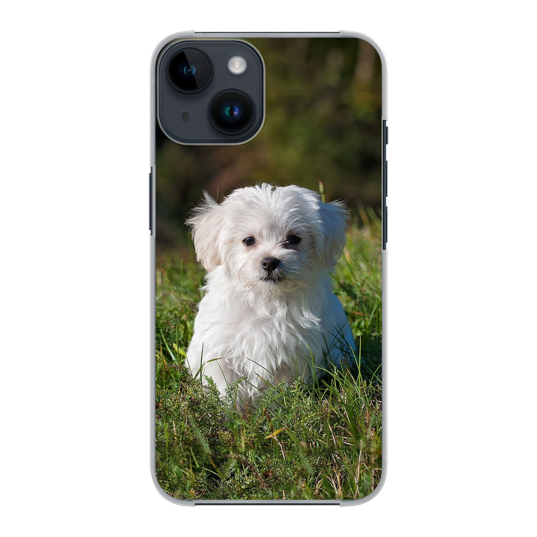 Apple iPhone 14 Hard case (back printed, transparent)