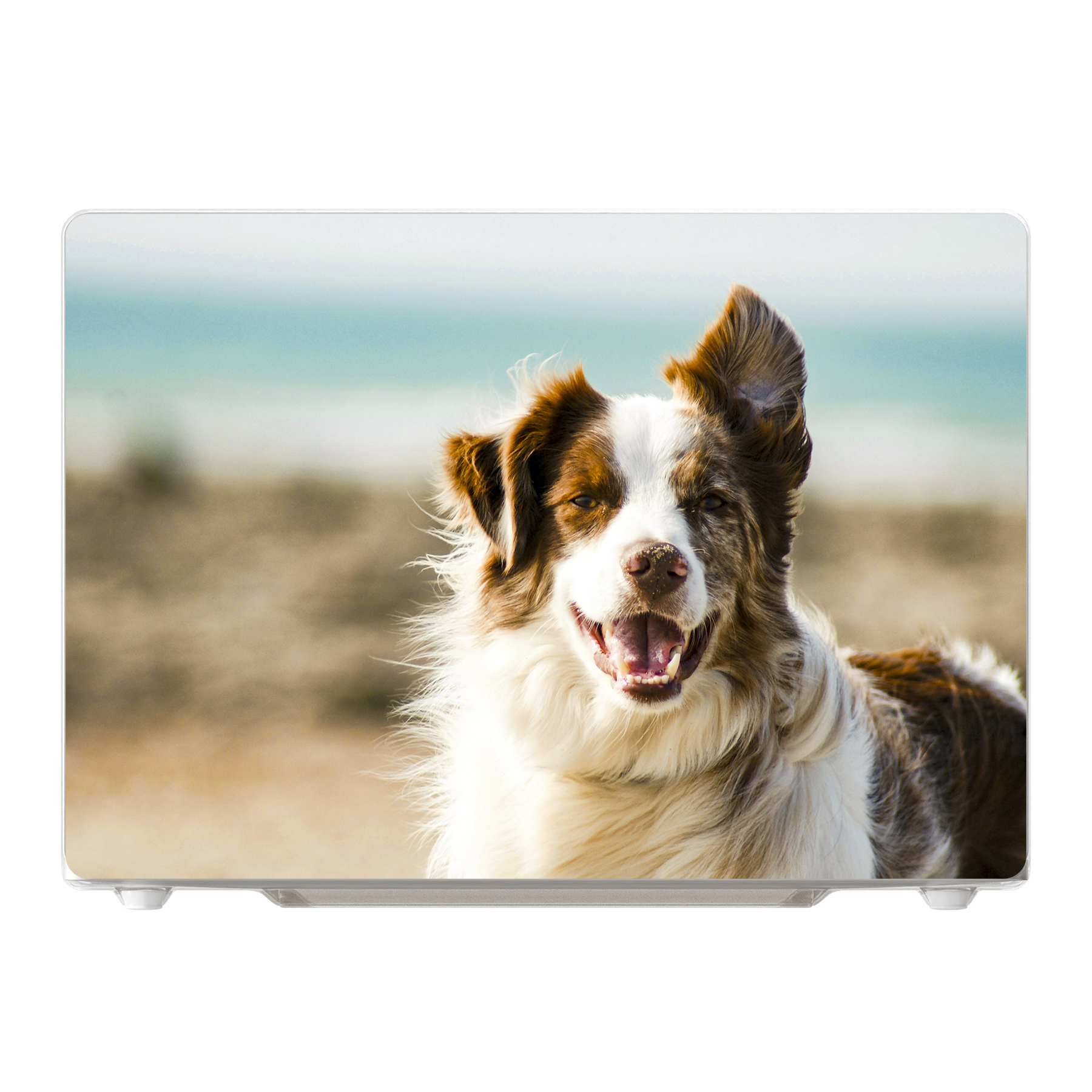 Apple MacBook Pro 16-inch M1 (2021) A2485