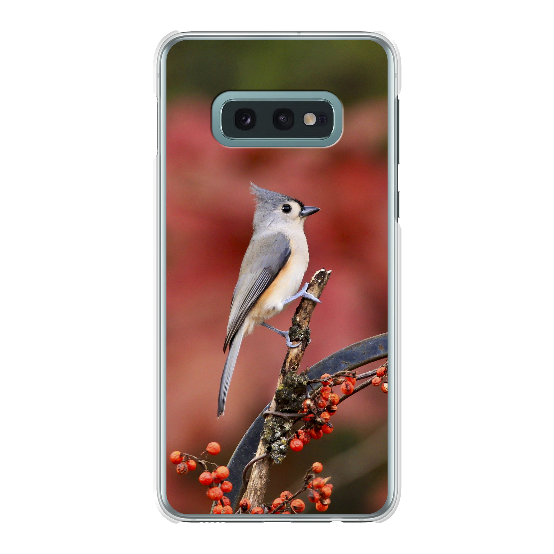 Samsung Galaxy S10e Hard case (back printed, transparent)