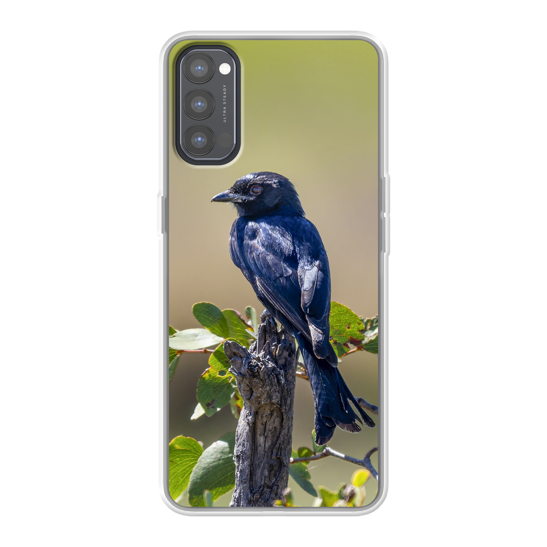 Oppo Reno4