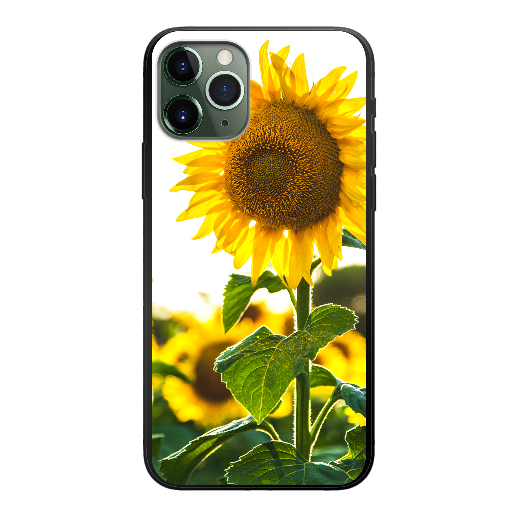 Apple iPhone 11 Pro