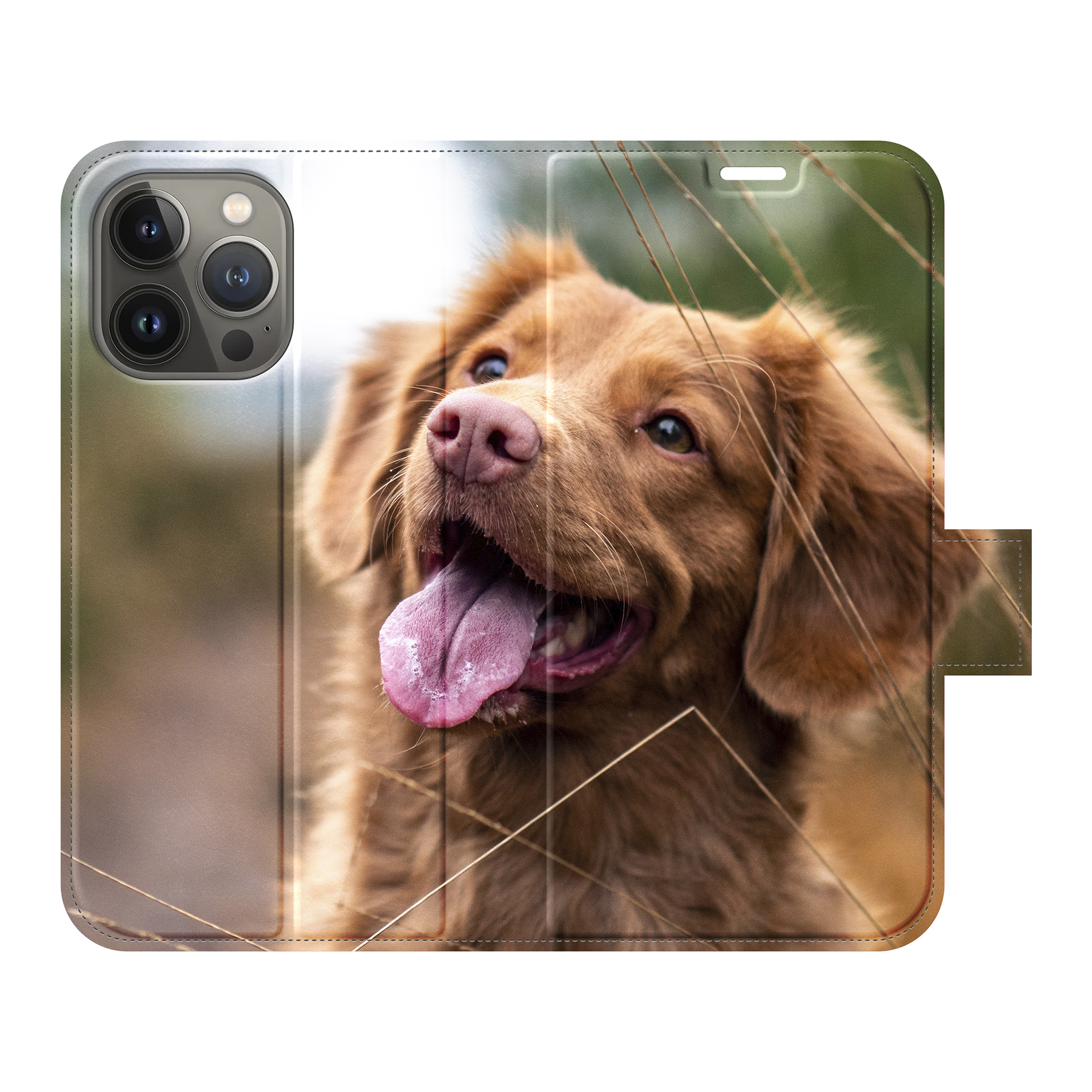 Apple iPhone 13 Pro Wallet case (fully printed)